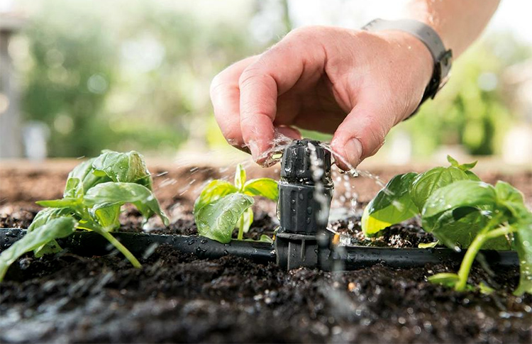 Irrigation System