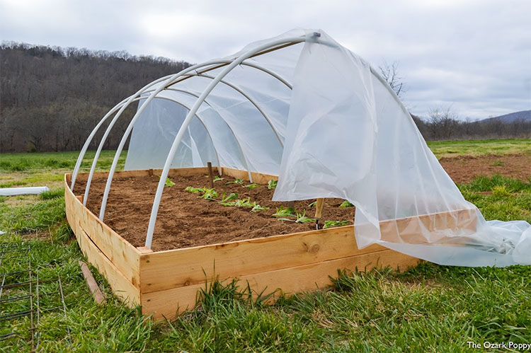 Building A Small Greenhouse Of Your Own Is Easy