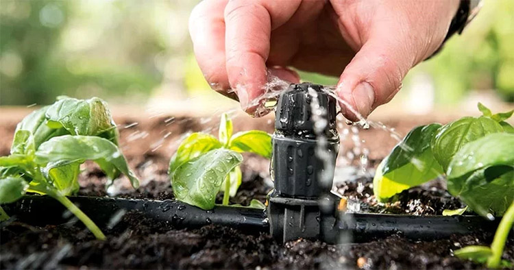 Garden Greenhouse watering