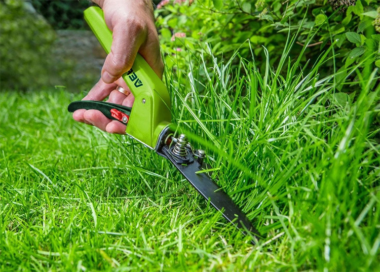 Lawn shears: how to choose the right one