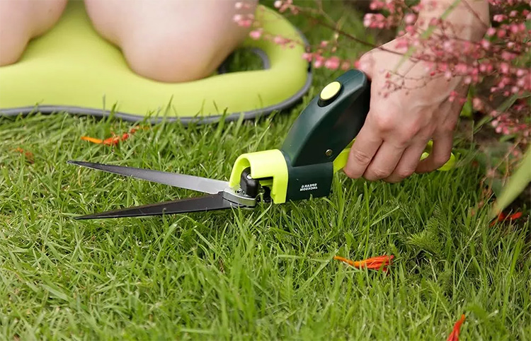 Lawn shears: how to choose the right one