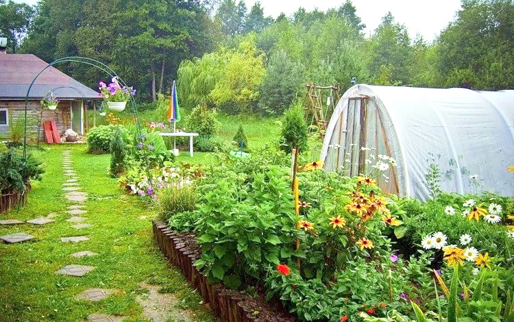How to Keep Your Greenhouse Plants Safe from Summer Overheating