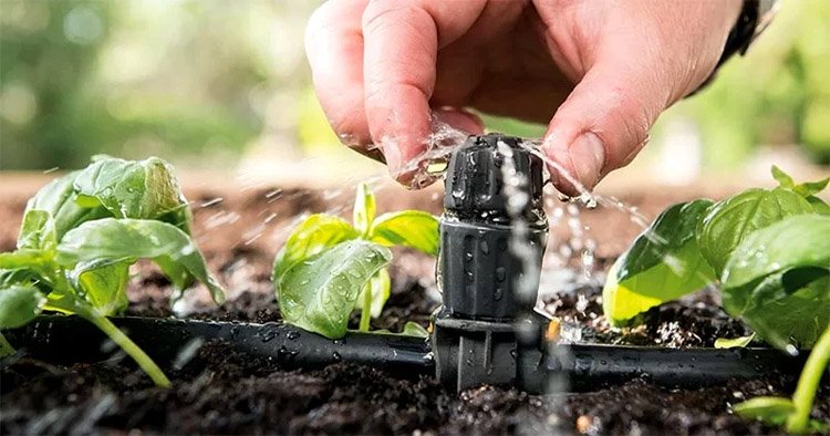 Garden Greenhouse watering