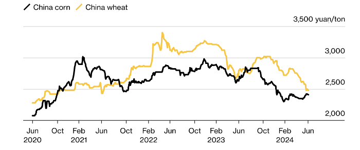 Grain price dynamics in China
